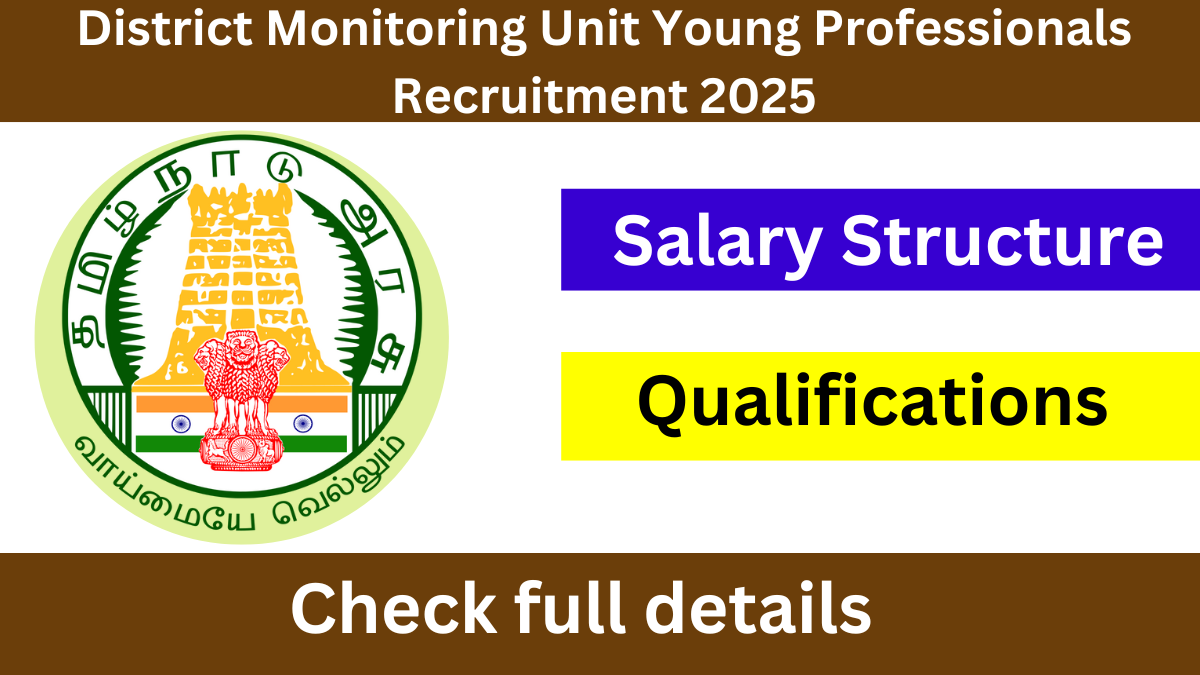 District Monitoring Unit Young Professionals Recruitment 2025