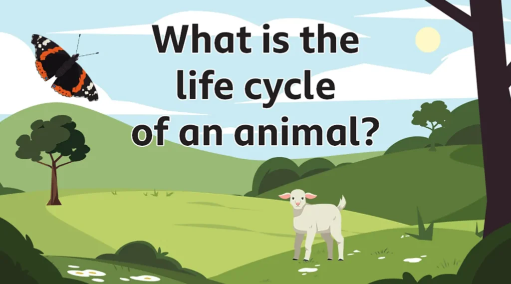 Animal Life Cycle A Complete Guide to Growth, Survival, and Evolution in Nature