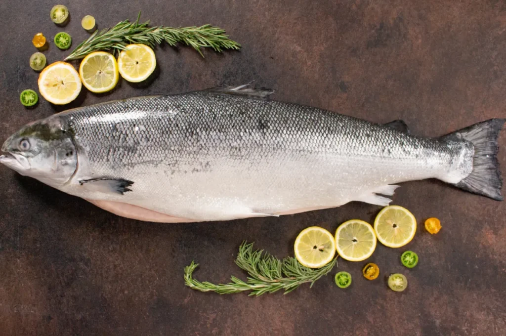 Life Cycle of Salmon